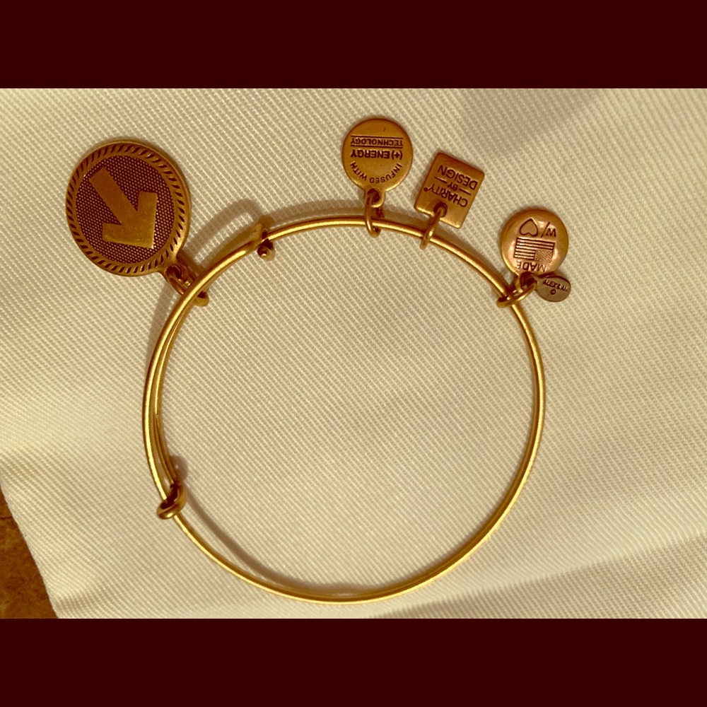 Alex and Ani Charm Bracelet.